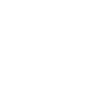 Home Icon